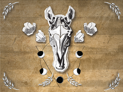 Illustrated Horse Skull