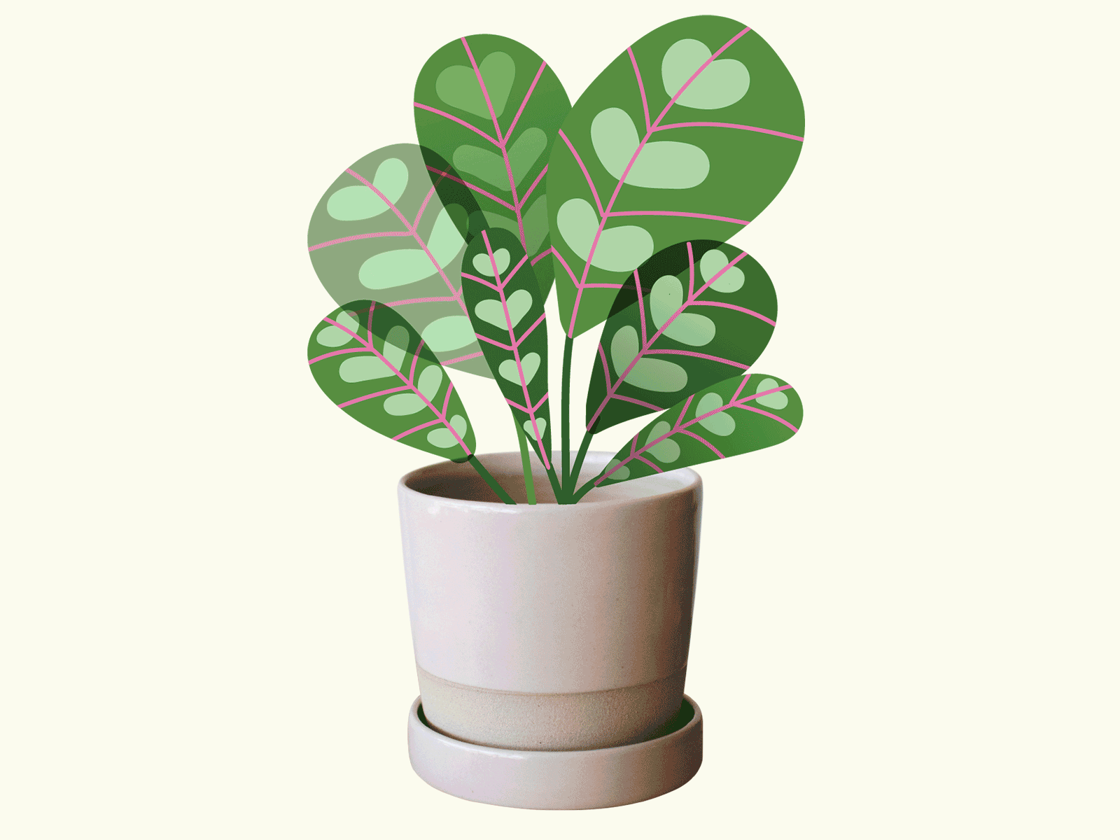 A Lush Life ceramics plants plants illustration pots vector