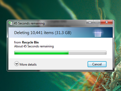 Slightly Overdue... delete empty trash huge waste of memory mem dump memory hog recycle bin
