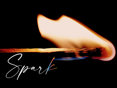 Spark Branding Guide branding design illustration logo
