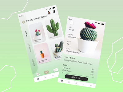 Cactus App branding ui