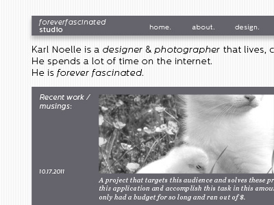New karlnoelle.com cat gray homepage kitteh kitten minimal sans serif website white