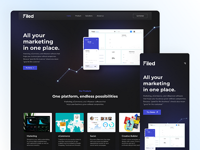 Digital Marketing Company Landing Page