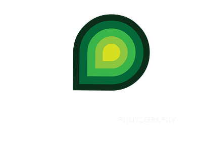 sangathi photography 3d animation branding graphic design logo motion graphics ui