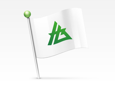 Flag flag green icon