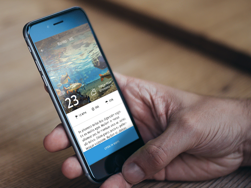 Travel App - Detail Screen (WIP) after effects animation app detail gif icons ios iphone 6 mockup transition travel wip