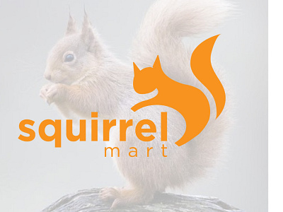 Squirrel Branding  design ------------------------------