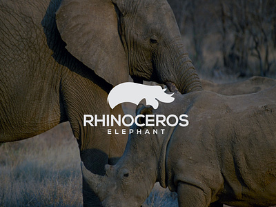 Rhinoceros Elephant