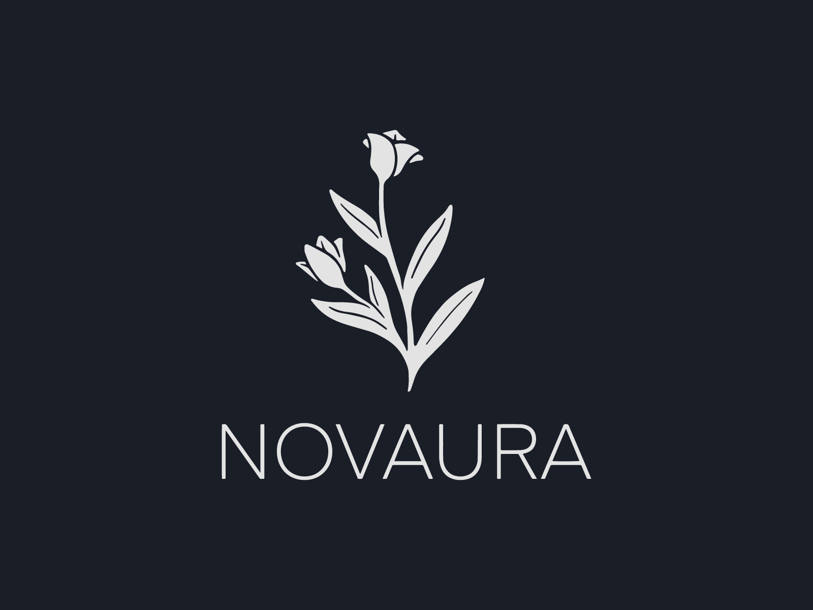 Novaura by Chris Vasquez on Dribbble