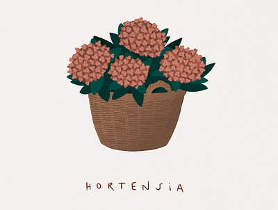 Hortensia copenhagen denmark digital illustration digitalart drawing floral illustration procreate