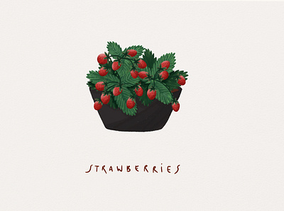 Strawberries copenhagen denmark digital illustration digitalart drawing illustration plants procreate strawberries