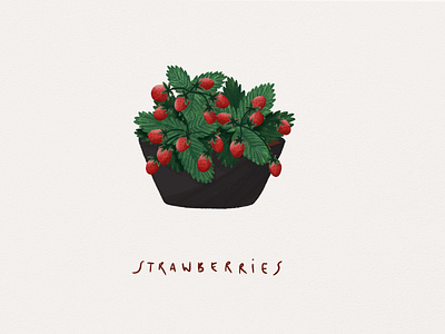 Strawberries