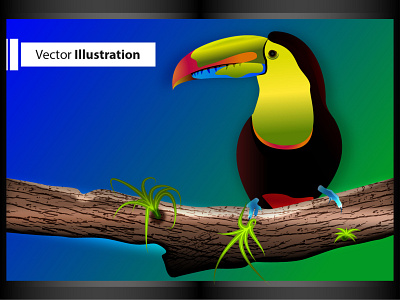 Bird Vector Illustration