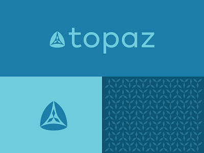 Topaz Study 3 identity logo logomark mark typography