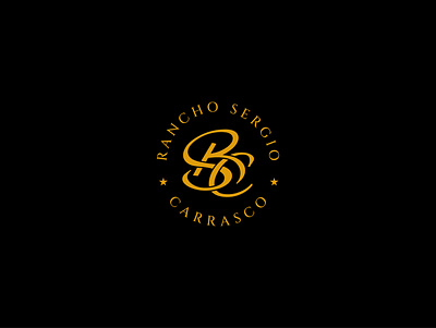 SRC logo branding design graphic design illustration logo ty typography ve vector