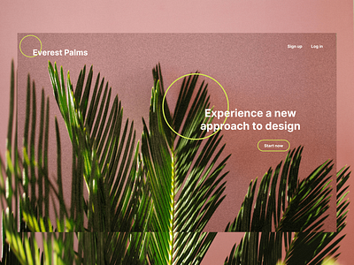Design concept - Essentialist Nature mockup ui webdesign