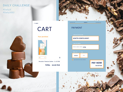 Credit Card Checkout - Daily challenge UI 002 daily daily 100 challenge daily ui daily ui 002 ui web
