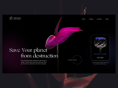 Online shop of exotic flowers design figma flower minimalism online shop store ui ux