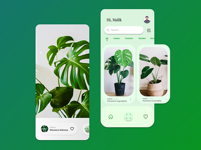 UI Scanner Plant App (Iphone 11) app monstera plant scanner ui