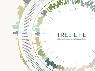 Treelife data data visualization information design poster tree