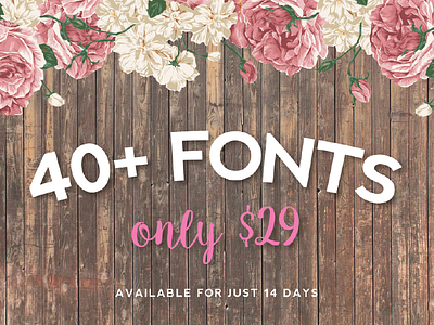 40+ Fonts for $29!!