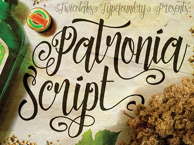 Patronia Script font fonts hand drawn typeface typefaces typography