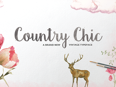 Country Chic Script font fonts hand drawn typeface typefaces typography