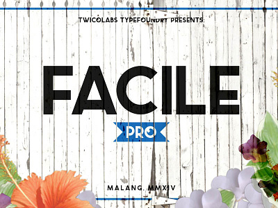 FREE!! Facile Typeface