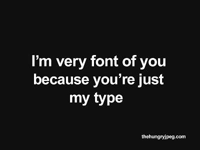 Font Obsessed bundle design font fonts graphic design script typeface typefaces