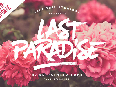 Last Paradise Script - TheHungryJPEG.com bundle design font fonts graphic design script typeface typefaces