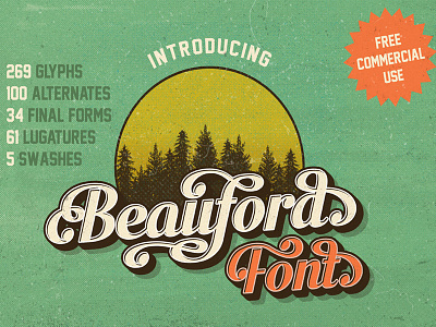 The Beauford Script with Hundreds of Additional Characters font font face script typeface