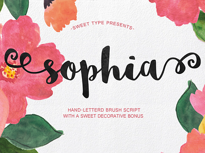 The FREE Handlettered Sophia Font brush font font free font free typeface handlettered