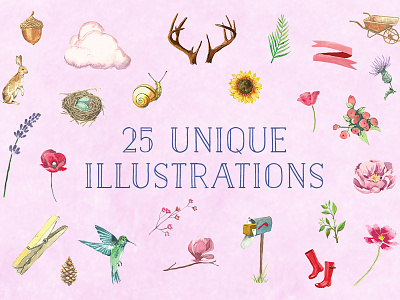 Download this set of 25 Free Watercolor illustrations animals flowers vector illustrations watercolor watercolor illustrations watercolour