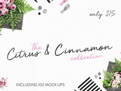 The Citrus & Cinnamon Mockup Collection design bundle jpeg mockup mockup mockups bundle