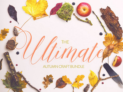 The Ultimate Craft Bundle craft bundle crafter crafter bundle design bundle