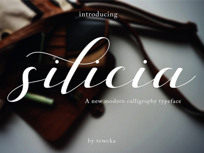 FREE Silicia Font font free font free script free typeface script font