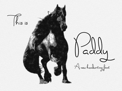 Freebie of the Week: FREE Paddy Script