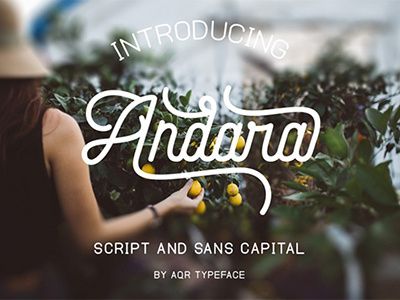 FREE Andara Font Duo font free font free script free typeface script font