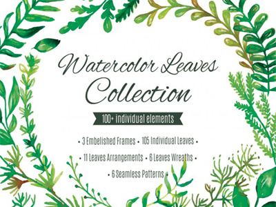 Watercolor Leaves Collection (85% OFF) watercolor watercolor greenery watercolor leaves