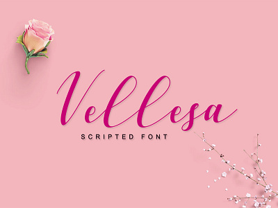 Freebie of the Week: Free Vellesa Script font free font free script free typeface script font