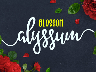 FREE Alyssum Blossom Font Duo font free font free script free typeface script font