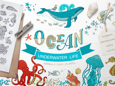 FREE Ocean Underwater Life