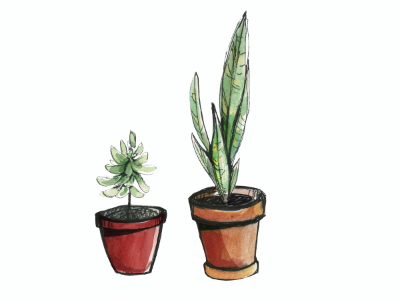 Potted Plants media mixed