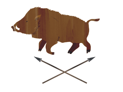 Don't be a Boar boar hunt illustration spear wild