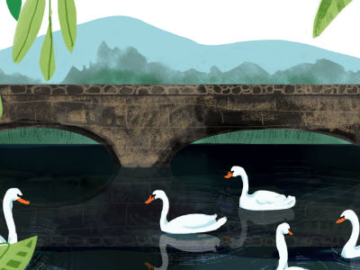 Pond of Swans