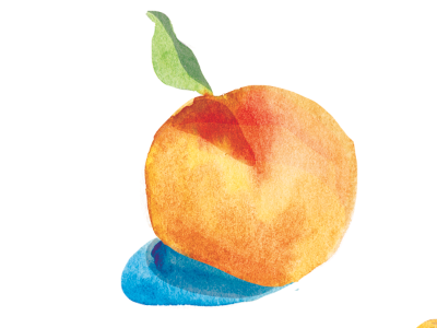 peachy digital fruit illustration peach texture watercolor