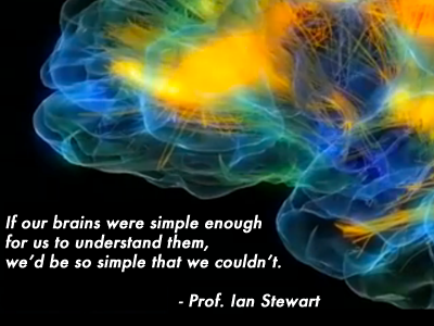 Glass Brain brain imaging brain science brains ian stewart