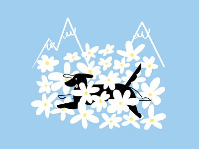 Charlie 🏔👅🐕‍🦺🌼 design dog doggo doodle flowers funny hiking illo illustration lol mountain sketch sound of music switzerland
