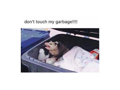 Don't Touch My Garbage!! 🌿 🗑 🦝 🌿. 