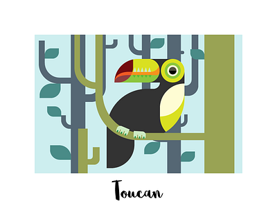 Toucan illustration toucan vector